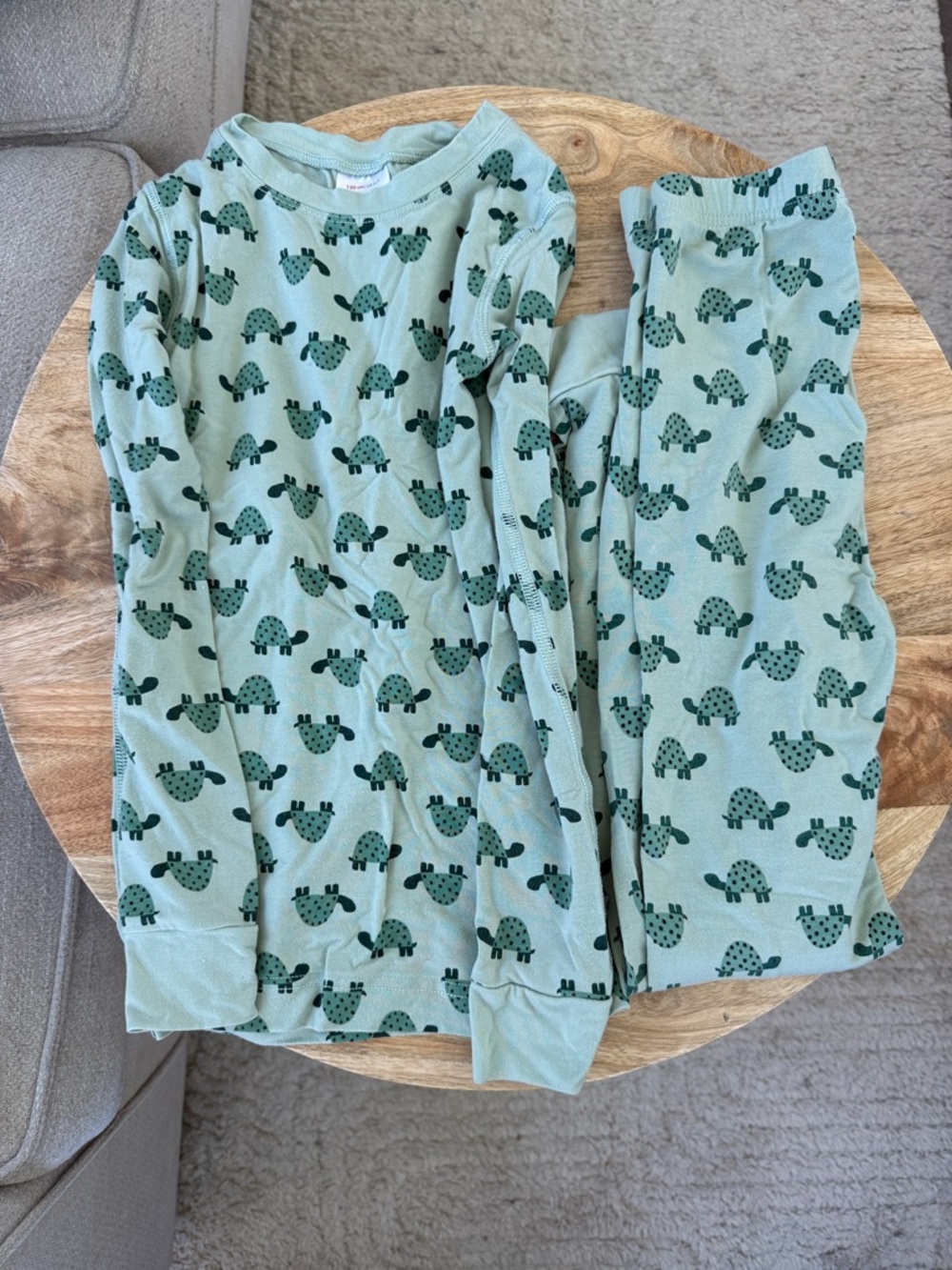 Hanna Andersson Turtle Pajamas